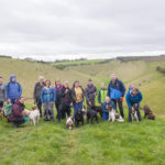 A walk in the countryside on our All About Dog weekend