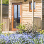 Glamping Pod surrounded by beautiful grounds