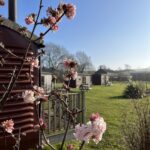Springtime at Yorkshire Wolds Glamping